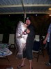 17kg Mandurah Dhu